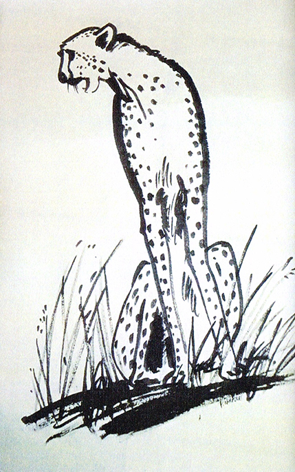 cheetah,-ink-drawing-SOLD